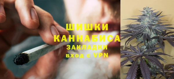 гидра Михайловка