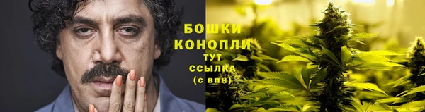 ПСИЛОЦИБИНОВЫЕ ГРИБЫ Медногорск