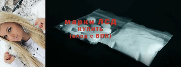 гидра Михайловка