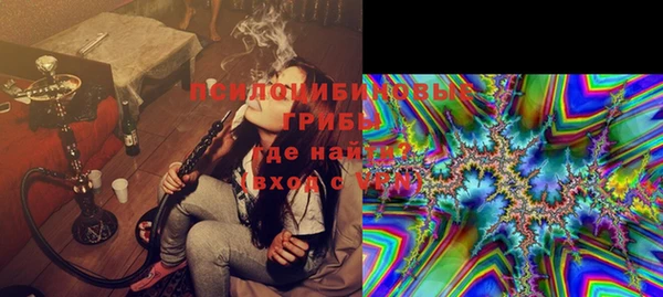 дживик Михайлов