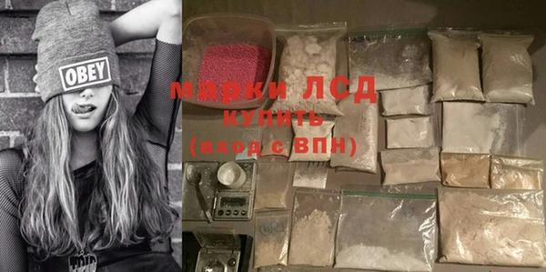 гидра Михайловка