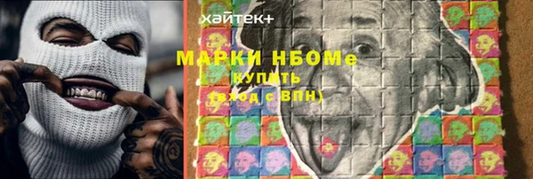гидра Михайловка