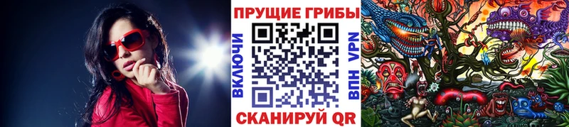 Псилоцибиновые грибы Cubensis  где можно купить   Шадринск 