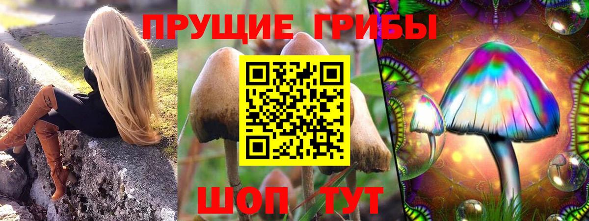 Шадринск  Галлюциногенные грибы Magic Shrooms  где можно купить   Вход с VPN 