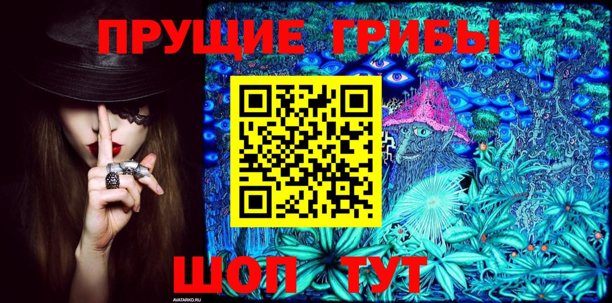 Псилоцибиновые грибы Psilocybine cubensis  Шадринск  Галлюциногенные грибы прущие грибы 