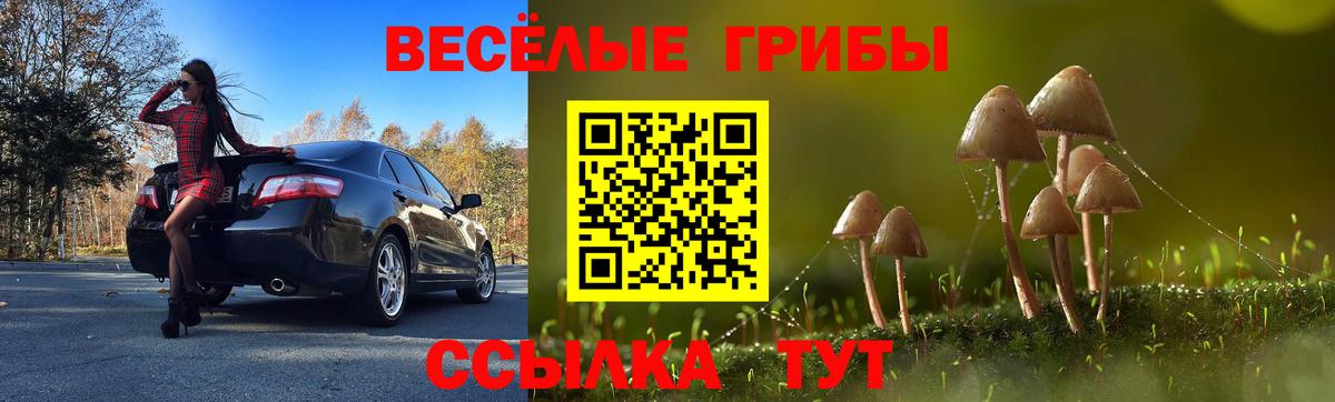 МАРИХУАНА  Шадринск  Гашиш  MDMA  Мефедрон  Вход с VPN  Меф  Лсд 25  COCAIN  A PVP 