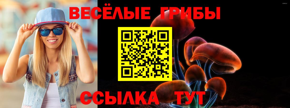 Псилоцибиновые грибы Magic Shrooms Шадринск